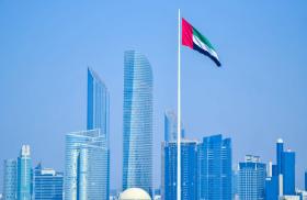 UAE Flag